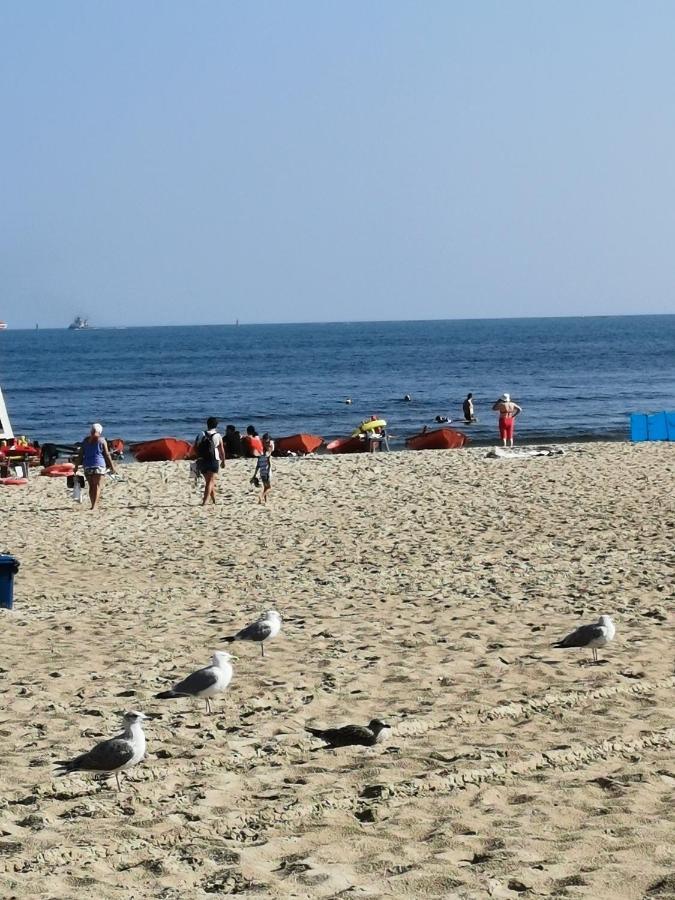 Parkidylle Apartment Swinoujscie Bagian luar foto